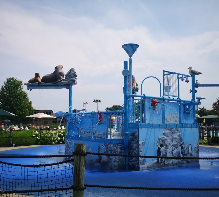 sea-lion-aquatic-park-photo